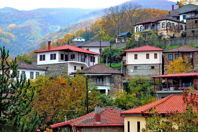 Thessaloniki to Naoussa, Wine Tasting Tour  Private Day Trip - Explore the Central Macedonia Region with a Private Day Trip to Naoussa