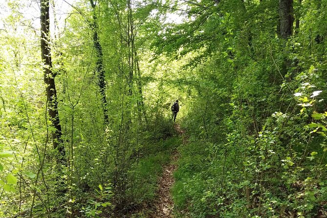 Thessaloniki to Naoussa, Wine Tasting Tour  Private Day Trip - Key Points