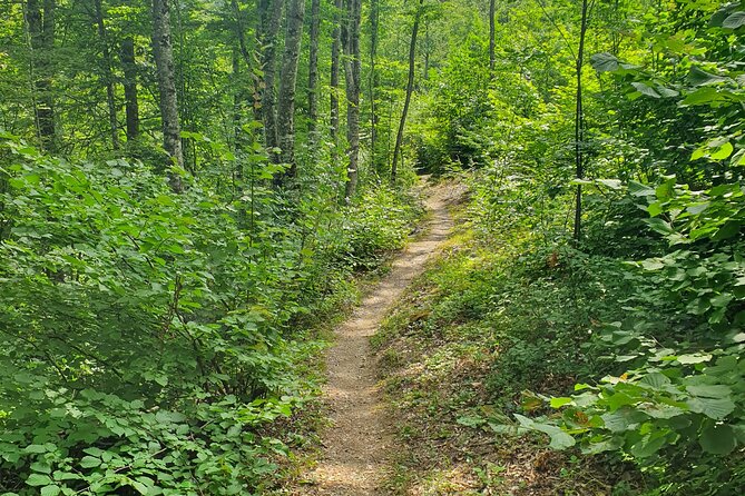 Thessaloniki to Naoussa, Wine Tasting Tour  Private Day Trip - Honoring Naoussa’s Heroes at the Sacrifice Area of 1822