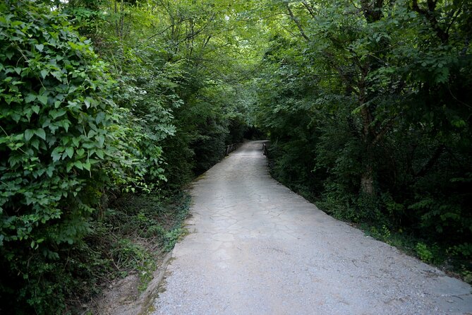 Thessaloniki to Naoussa, Wine Tasting Tour  Private Day Trip - Tasting the Finest Xinomavro at Ktima Kir-Yianni