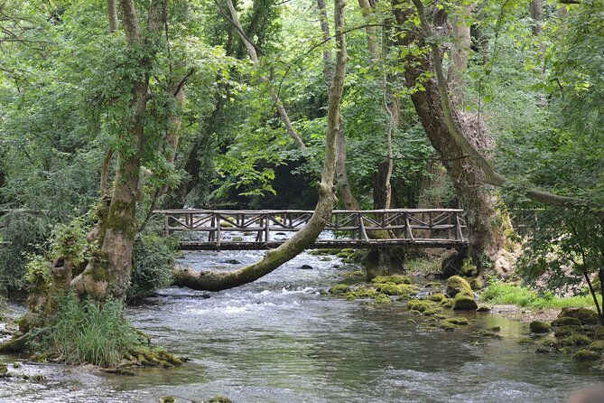 Thessaloniki to Naoussa, Wine Tasting Tour  Private Day Trip - The Final Return to Thessaloniki