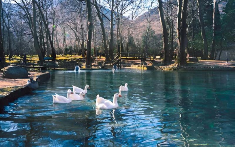 Thessaloniki: Vergina, Agios Nikolaos, and Edessa Full Day - Practical Details and Travel Comfort