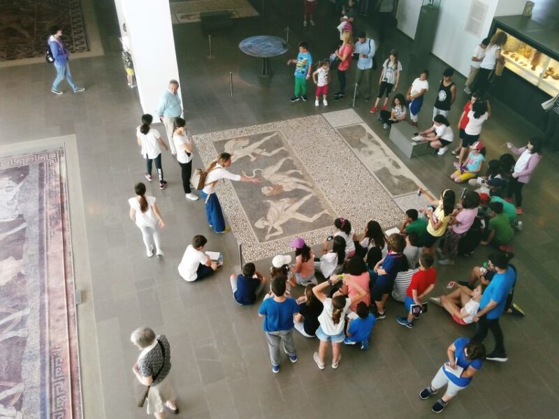 Thessaloniki: Vergina and Pella Day Trip - Exploring Pella’s archaeological sites and museum