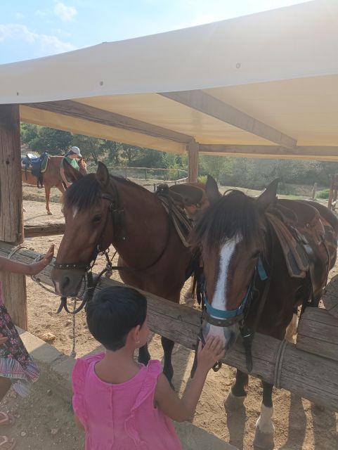 Thessaloniki:Horse Riding in a farm - Key Points