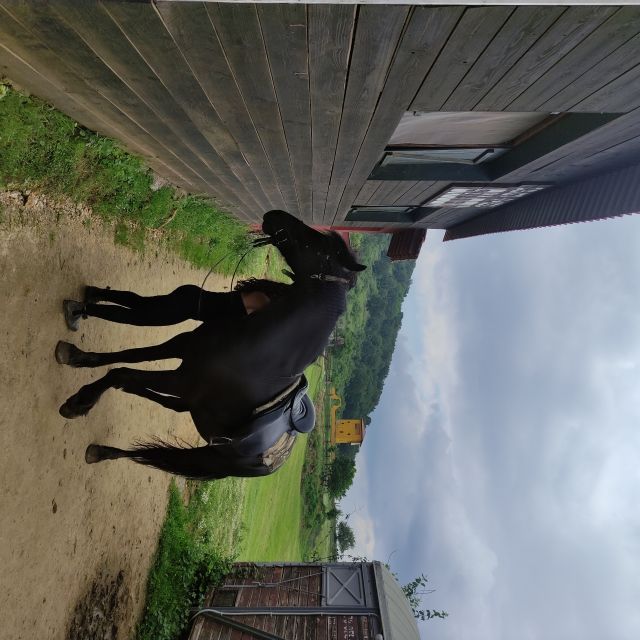Thessaloniki:Horse Riding in a farm - Food and Refreshments at the Farm