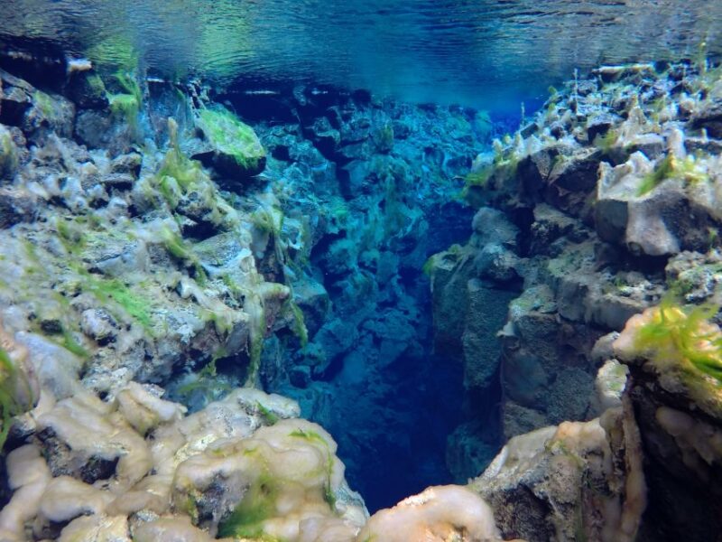 Thingvellir: Silfra Freedive Adevnture with a Guide - The Warm Finish with Hot Chocolate