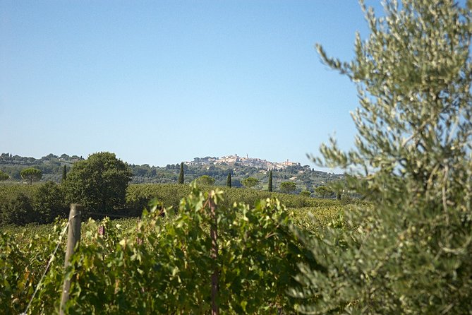 Think of a romantic meal in the Olive Trees shade, accompanied by Tuscan wines! - Experience a Romantic Tuscan Olive Grove Lunch with Wine Near Montepulciano