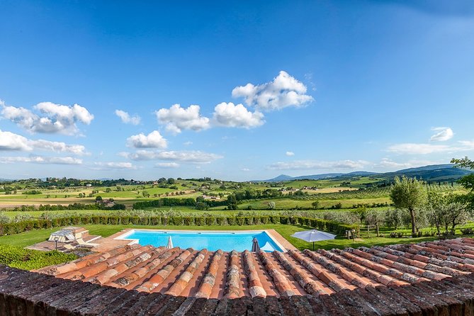 Think of a romantic meal in the Olive Trees shade, accompanied by Tuscan wines! - Scenic Walk Through Olive Groves and Estate Woods
