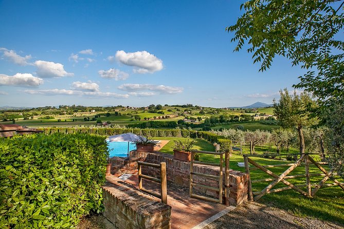 Think of a romantic meal in the Olive Trees shade, accompanied by Tuscan wines! - Practical Details: Booking, Capacity, and Cancellation Policy