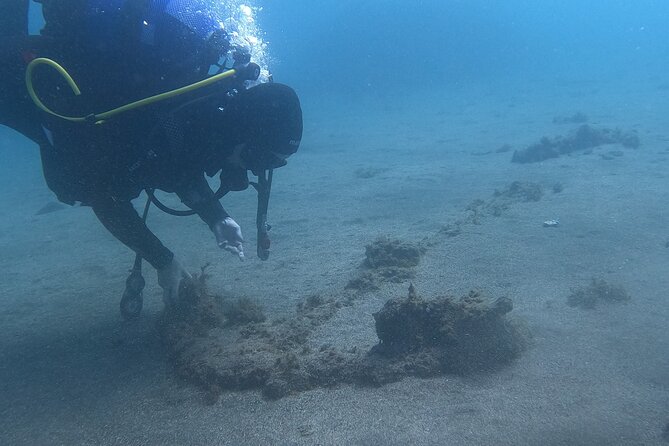 Third Island:Try Scuba in a Shipwreck-Archeological park - Value, Booking Flexibility, and Weather Considerations