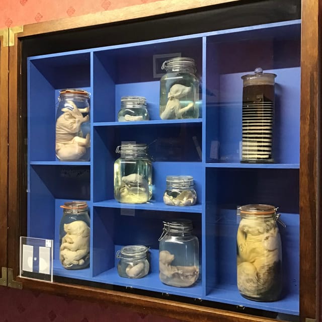 Thirsk: World of James Herriot Entry Ticket - The Experience of a Past Era in Thirsk