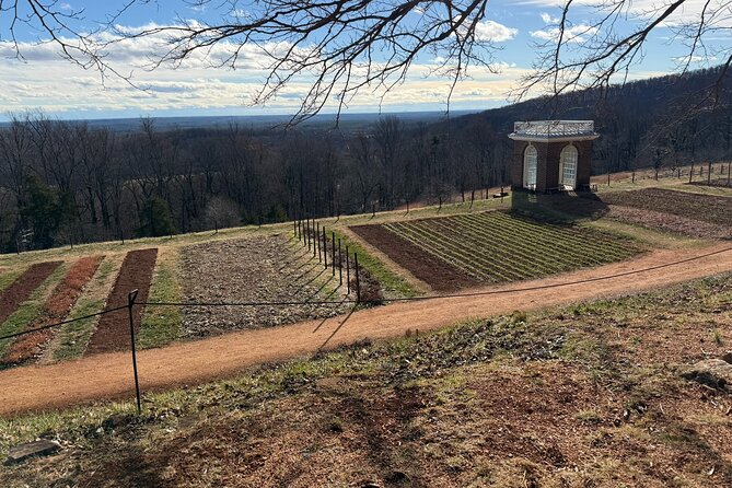 Thomas Jeffersons Monticello Excursion from Washington DC - Accessibility and Group Size