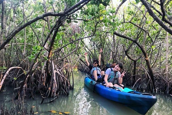 Thousand Island Mangrove Tunnel, Manatee & Dolphin Kayak Tour w/Cocoa Kayaking - Timing Tips for Wildlife Viewing and Best Experiences