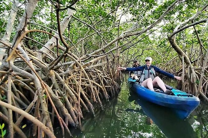 Thousand Island Mangrove Tunnel, Manatee & Dolphin Kayak Tour w/Cocoa Kayaking - Customer Experience and Small Group Advantages