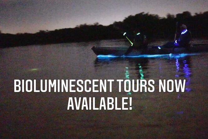 Thousand Islands Bioluminescent Kayak Tour with Cocoa Kayaking! - Nighttime Conditions and What to Expect