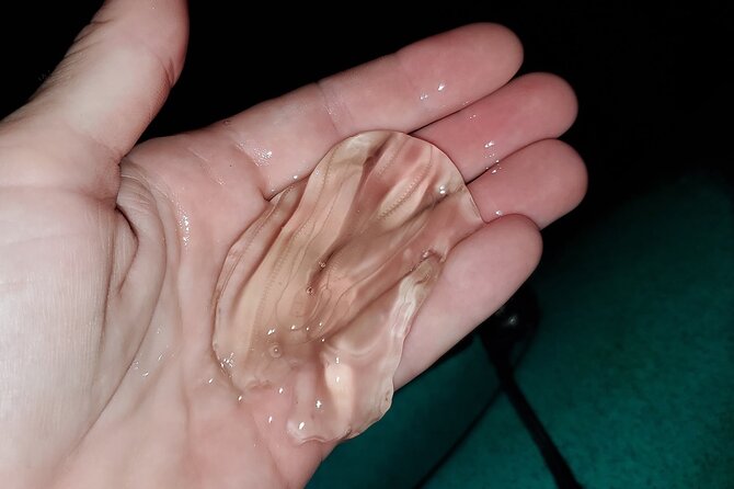 Thousand Islands Mangrove Tunnel & Bio Comb Jelly Sunset Tour - Starting Point and Meeting Logistics in Cocoa Beach