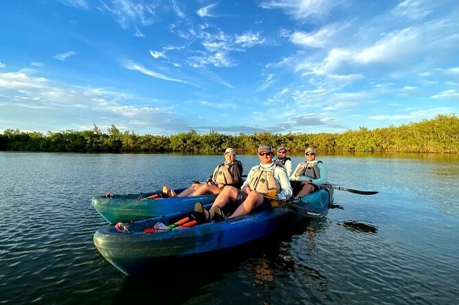 Thousand Islands Mangrove Tunnel & Bio Comb Jelly Sunset Tour - The Magic of Bioluminescent Comb Jellies