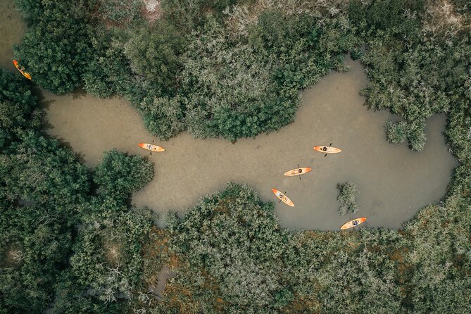 Thousand Islands Mangrove Tunnel Kayak Tour with Cocoa Kayaking! - Logistics and Accessibility