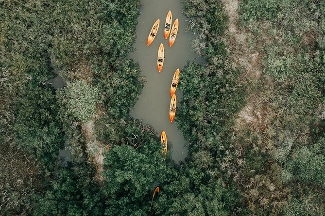 Thousand Islands Mangrove Tunnel Kayak Tour with Cocoa Kayaking! - Why This Tour Stands Out in Cocoa Beach