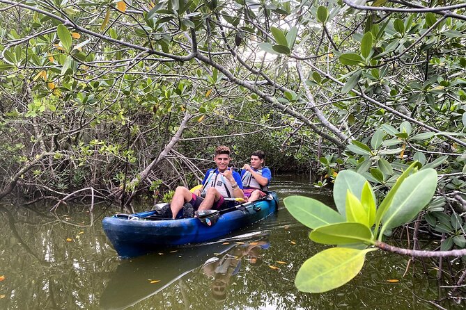 Thousand Islands Mangrove Tunnel Sunset Kayak Tour with Cocoa Kayaking! - Accessibility and Family Friendliness