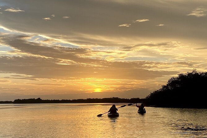 Thousand Islands Mangrove Tunnel Sunset Kayak Tour with Cocoa Kayaking! - Comparing This Tour to Similar Experiences