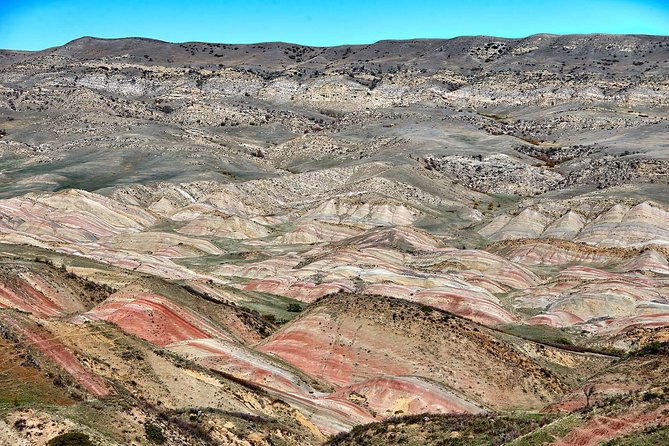 Three day hiking tour to Kakheti region with two overnight stays in Sighnaghi - Physical Activity Level and Accessibility