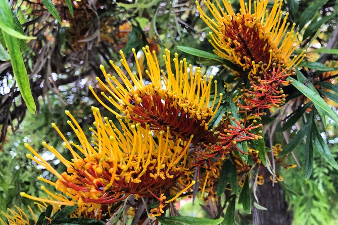 Three Parks Tour | Private Ride by Bike, E-Bike, E-Step or Segway - Ride Options and Practicalities