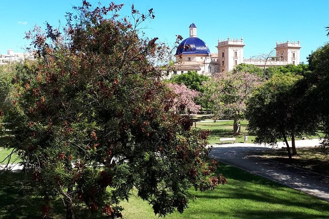 Three Parks Tour | Private Ride by Bike, E-Bike, E-Step or Segway - Why Choose the Three Parks Tour in Valencia