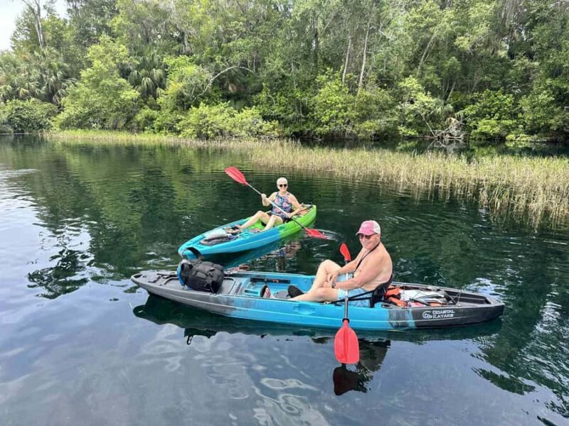 Three Sisters Clear Kayak and Snorkeling Manatee Tour - Wildlife Viewing and Manatee Sightings
