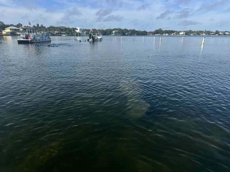 Three Sisters Clear Kayak and Snorkeling Manatee Tour - Logistics and Practical Tips