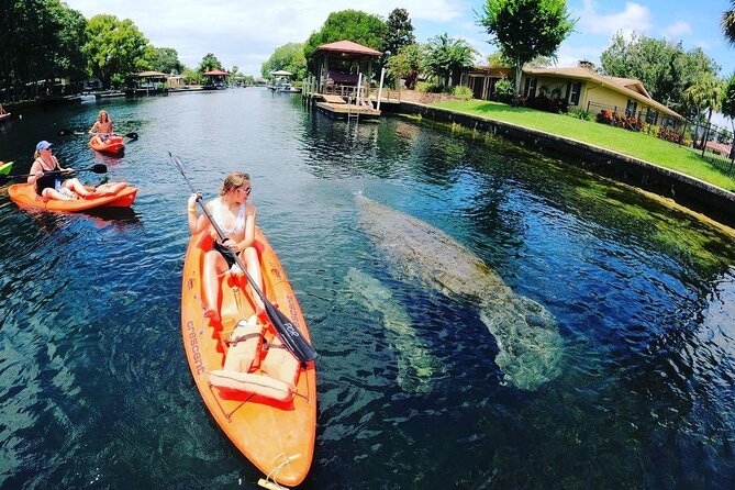 Three Sisters Springs Kayak And Swim Eco-Tour Crystal River - The Water Activities: Kayaking and Swimming Inside the Springs