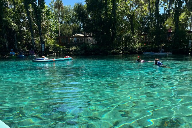 Three Sisters Springs Kayak and Swim Tour with Free Photo Package - The Wildlife You’ll Encounter in Crystal River