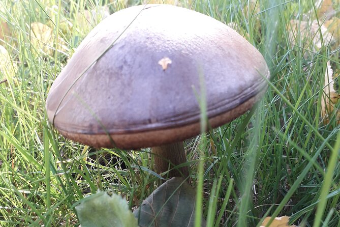 Three-summit hike in Bergen - Physical Requirements and Accessibility