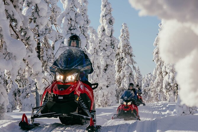 Thrill of Snowmobiling for Adults Only - Key Points