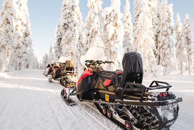 Thrill of Snowmobiling for Adults Only - The Guides: Professional, Friendly, and Safety-Focused