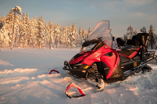 Thrill of Snowmobiling for Adults Only - Safety Measures and Physical Requirements for Snowmobiling
