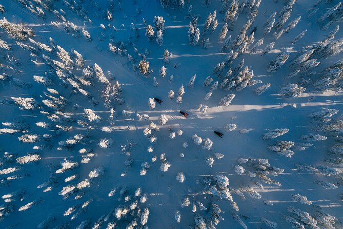 Thrill of Snowmobiling for Adults Only - What Sets This Tour Apart from Other Snowmobile Adventures