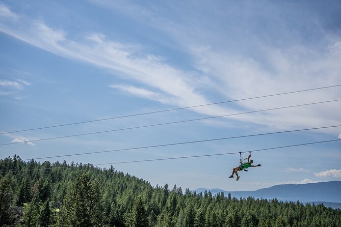 Thrilling 2-Hour Zipline Tour in Radium Hot Springs - Pacing and Physical Requirements of the Tour