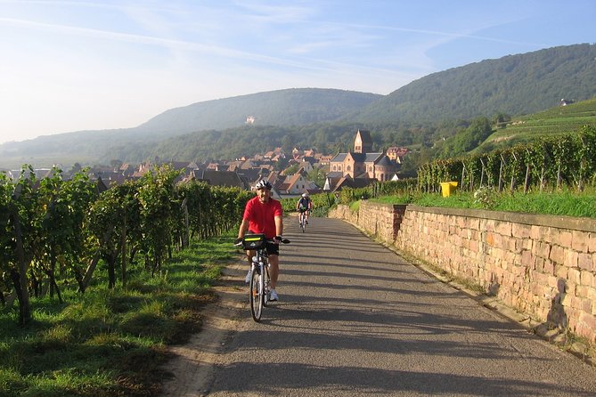 Through Alsace Vineyards and Wine Villages Private Bike Tour - The Guide: Glen’s Expertise and Friendly Approach