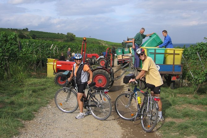Through Alsace Vineyards and Wine Villages Private Bike Tour - Scenic Routes and Photographic Opportunities