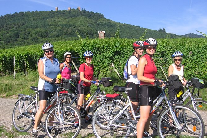 Through Alsace Vineyards and Wine Villages Private Bike Tour - Physical Requirements and Suitability