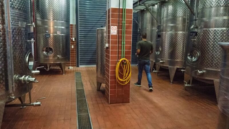 Through Heart of Crete to South & Wine Tasting Private tour - Serenity and Scenic Views at Zaros Lake