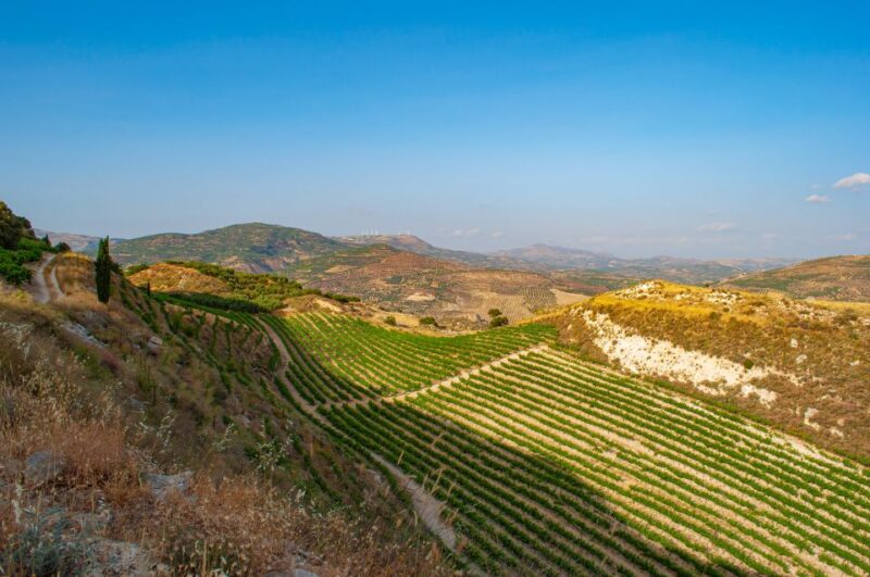 Through Heart of Crete to South & Wine Tasting Private tour - Savoring Authentic Cretan Flavors During the Day
