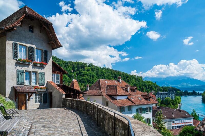 Thun: Express Walk with a Local in 60 minutes - Exploring Schloss Schadau and Schadau Park