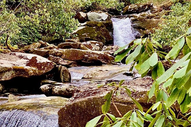 Thundering Streams and Falls of the Smokies Guided Hiking Tour - Discover the Thundering Streams and Falls of the Smokies Guided Hiking Tour