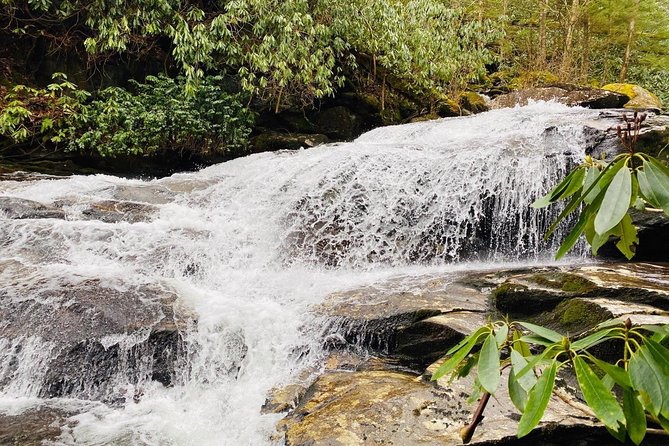 Thundering Streams and Falls of the Smokies Guided Hiking Tour - Starting Point at Sugarlands Visitor Center in Gatlinburg
