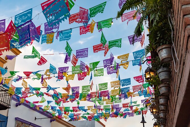 Thursday's Art Walk in San Jose del Cabo - Learning About Cacao at the Chocolate Factory