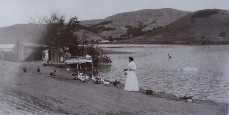 Tiburon: Guided Walking Tour - From the Railroad to Today - Final Thoughts on the Tiburon Walking Tour