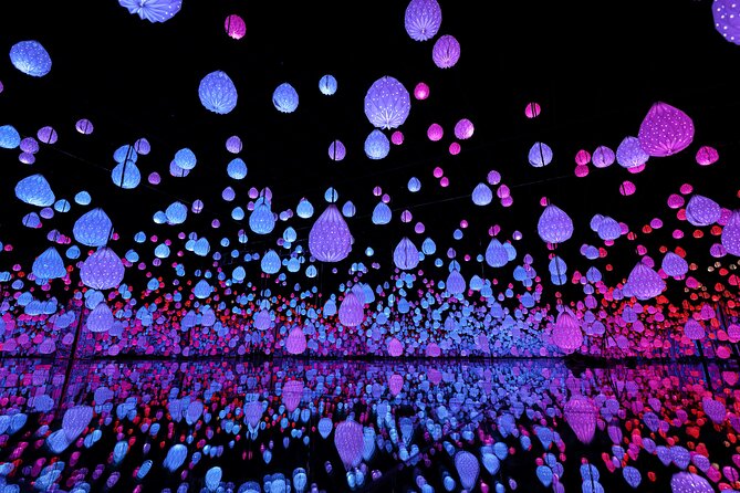 Ticket for ARTE Museum Las Vegas - Explore the Artistic Wonder of ARTE Museum Las Vegas with a Timed Admission Ticket