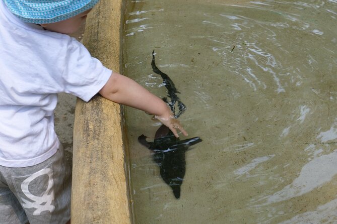 Ticket for Parco Ittico Paradiso at Zelo Buon Persico - Exploring the Fish and Animal Habitats in Detail